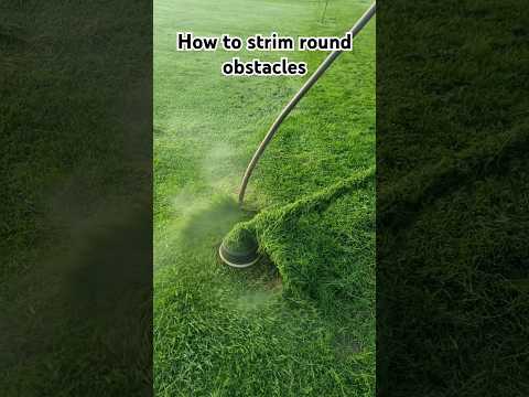 How to use a strimmer / weed whacker #shorts #asmr #satisfying #diy
