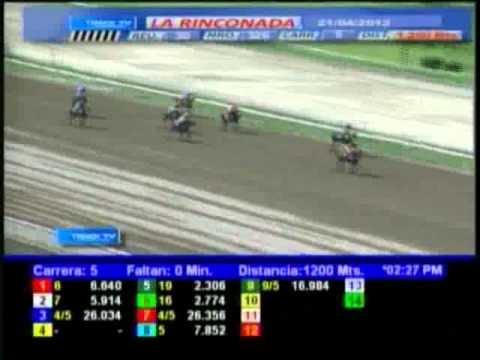 Resumen, Sabado 21 de Abril de 2012 - La Rinconada