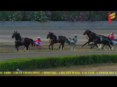 VII Corsa del 1 Giugno 2022 - Cat. G - Metri 2000