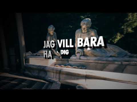 John Vince - Virago 2019