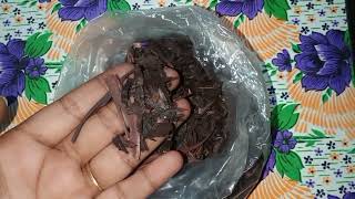 10 days chellange #Vembalam Pattai#Hair fall control#Red Oil#Honest Review#Tamil