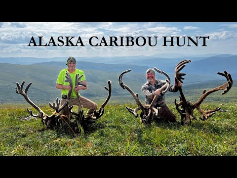 DIY CARIBOU HUNTING IN ALASKA - SIX BULLS TWO DAYS