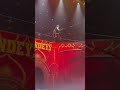 High Wire Seat At Gandeys Circus Circus Shorts