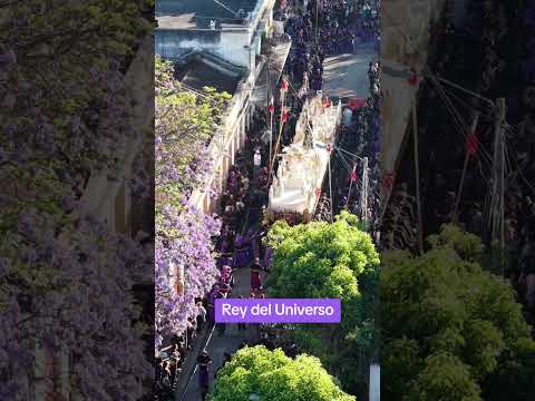 Rey del Universo - Jesús de los Milagros de San José, Domingo de Ramos 2026