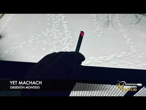 OBSESIÓN MONTEJO - Yet Machach