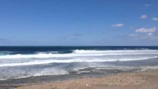 Kelly Slater gets eaten up! Basheba, Barbados 2013