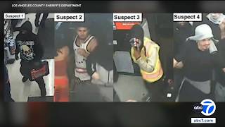 Photos show 27 suspects wanted in East L.A. AutoZone takeover break-ins