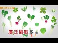 青江菜藏農藥怎麼去除？顏宗海：這1招最有效