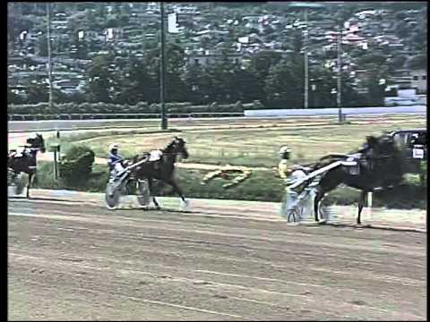 Trotto 14/06/2015 - 4° corsa