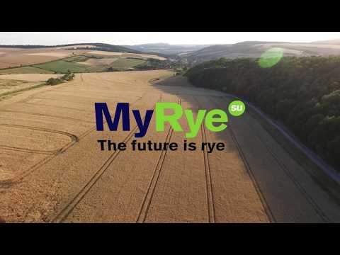 Saaten-Union: MyRye – The future is rye | Trailer