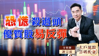 外資賣超不大台股卻大跌，恐慌殺過頭優質股易反彈 (圖)