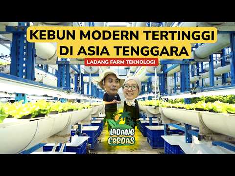 YouTube Video 1