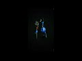 Mahadev Sms Ringtone Ll Mahadev Mahadev