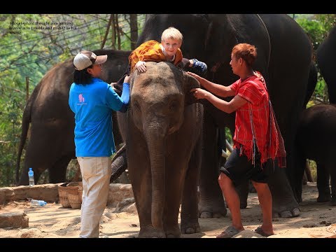 This elephant thought a swimming man was in trouble and rushed to his rescue
