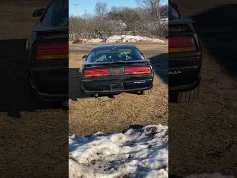 305 sbc 280h comp cam 480/480lift