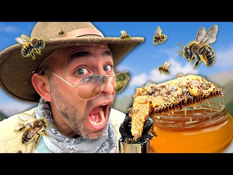 Honeycomb Heist – Will I Get STUNG?!