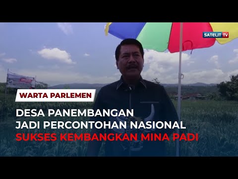DESA PANEMBANGAN JADI PERCONTOHAN NASIONAL SUKSES KEMBANGAN MINA PADI