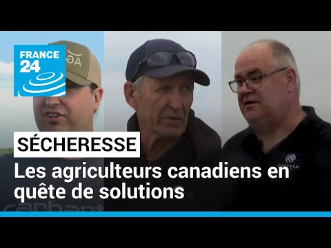Drought: Canadian farmers in search of solutions • FRANCE 24