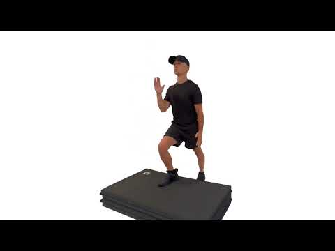 balance check step up with knee up left leg