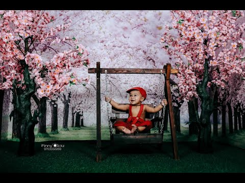 VEDANSH PRE-BIRTHDAY SONG (Anjaneyudu Full Song )