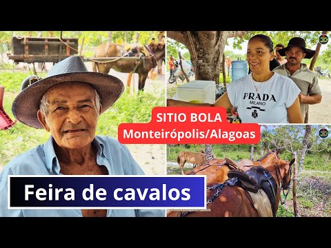 Visitando a feira de cavalos no sitio Bola em Monteirópolis/Alagoas. 
