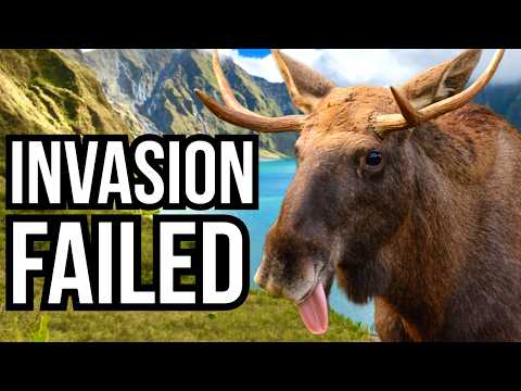 5 Animals That Failed To Become Invasive - Failed Introductions