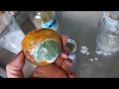 Como saber se estão com inveja de você? 