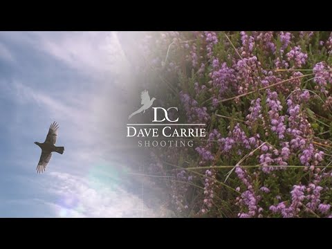 For The Love of Grouse (Dave Carrie Shooting)