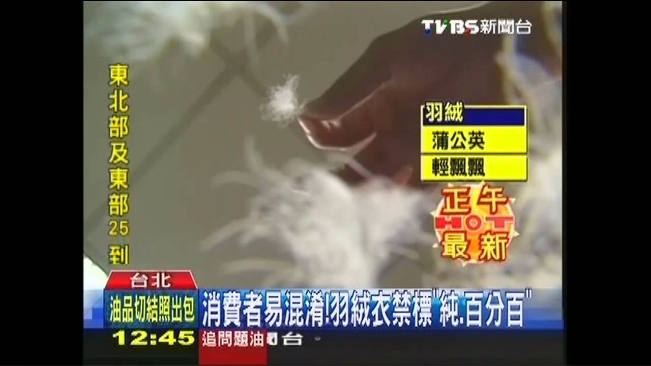 消費者易混淆！　羽絨衣禁標「純、百分百」