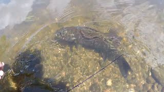 Lunch Break Smallmouth + River Find