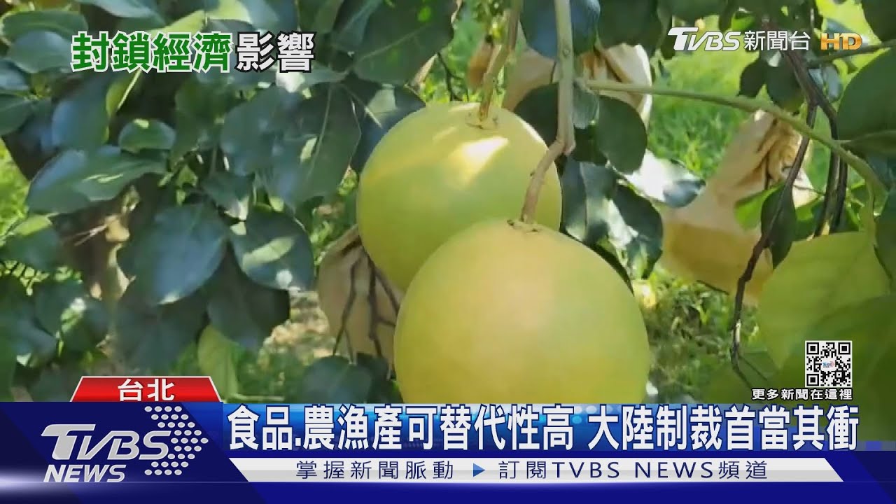 大陸下波制裁「這產業」?窮台政策經濟封鎖 台灣恐長期抗戰