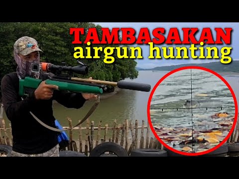 P1 - MUDSKIPPER (TAMBASAKAN) AIRGUN HUNTING (catchNcook)