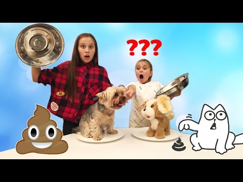 Обычная Собака против Игрушки Челлендж! DOGGIE DOO ! Family Game challenge | ПоллиАнна