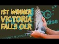 1st Final Winner Racing Pigeon Of Victoria Falls World Challenge One Loft Race 2023 For Sale In Pipa