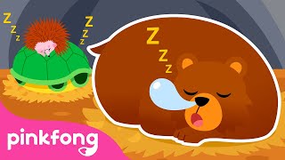 Hibernation Hotel | Storytime with Pinkfong and Animal Friends | Cartoon | Pinkfong for Kids