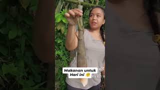 Download lagu cari bahan makanan dari rebung muda... #jiaamalia #cooking #survival mp3 Download lagu cari bahan makanan dari rebung muda... #jiaamalia #cooking #survival mp3
