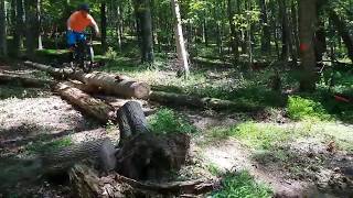 40 Ft Log Ride