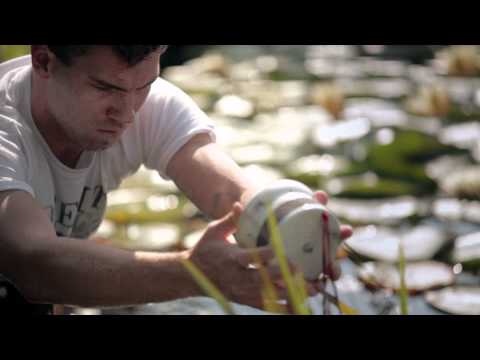 University of Guelph