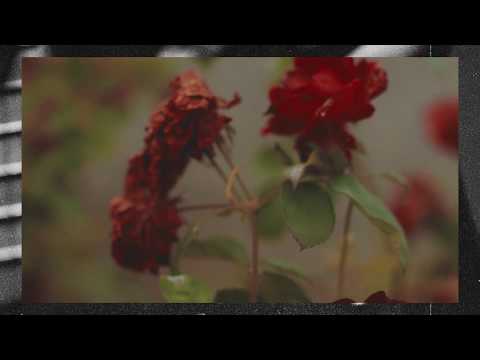 ZUMER (ABDYDAÝY) - SERHOŞ (LYRIC VIDEO)