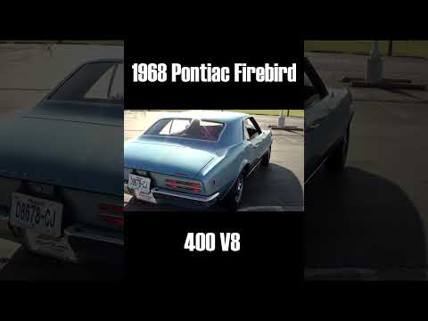 These Firebird Targets Are Insane #gunshorts #gunrange #firebirdtargets