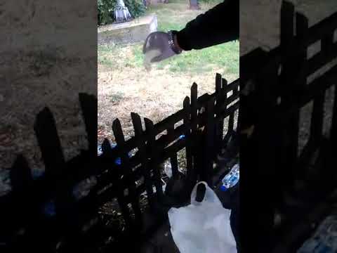 Ранковий рейд: у Франківську муніципали утилізовували сурогат. ФОТО. ВІДЕО