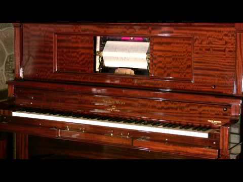 Welte Mignon - Petite Valse and Musical Box - Comp. Pouishnoff