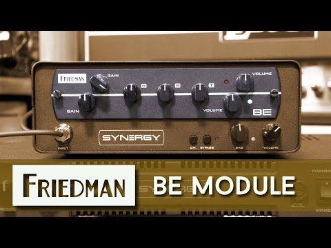 Synergy Friedman BE Brown Eye BE-100 2-Channel Tube Preamp Module image 3