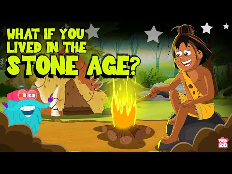 What If You Lived in the Stone Age? | Going Back to Stone Age | Prehistoric Era | Dr. Binocs Show