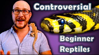 Top 5 Beginner Reptiles YOU Have Never Heard Of!