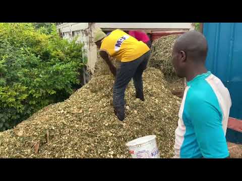 How to make silage at home