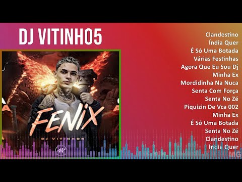 DJ Vitinho5 2024 MIX Melhores Músicas - Clandestino, Índia Quer, É Só Uma Botada, Várias Festinhas