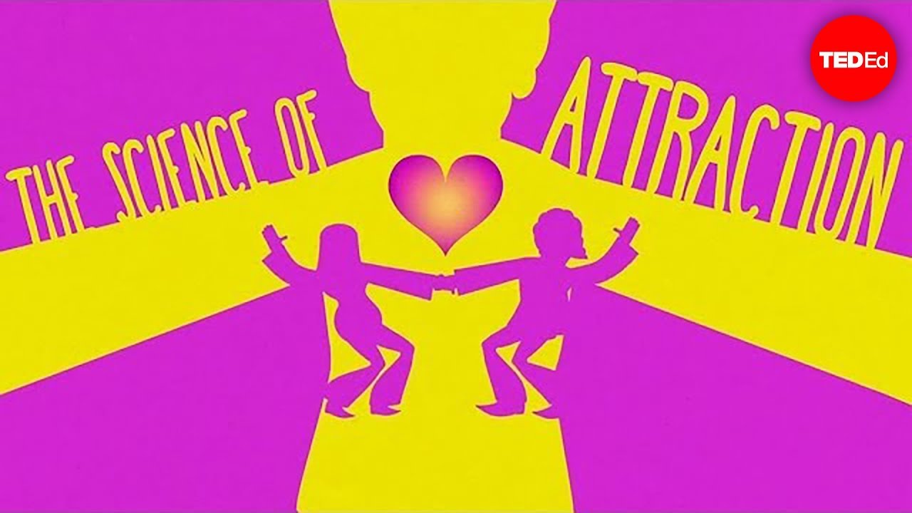 How does the attraction work?