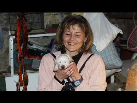 ES HORA DE TORNAR A CASA - SANT ESTEVE SESROVIRES 2020