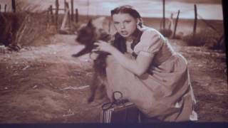 Dark Side of the Rainbow - Speak to Me/Breathe - Live @ Cine Theatro Brasil 2016